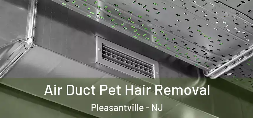 Air Duct Pet Hair Removal Pleasantville - NJ