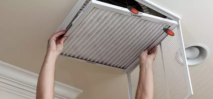 Preventive Cockroach-Proofing for Ducts in Pleasantville
