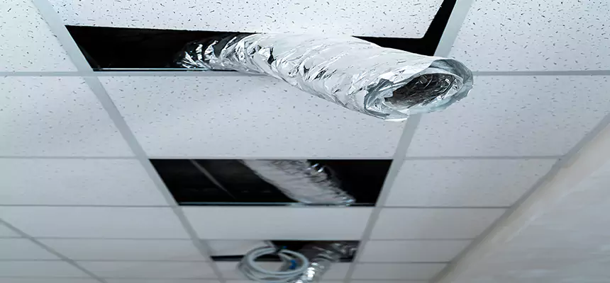 Our Air Duct Pet Hair Removal Services in Pleasantville, NJ