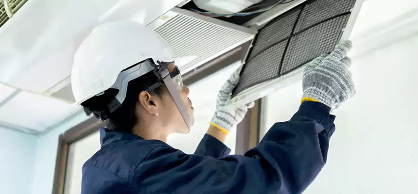 Our Mold & Mildew Removal from Air Ducts Services in Pleasantville, NJ