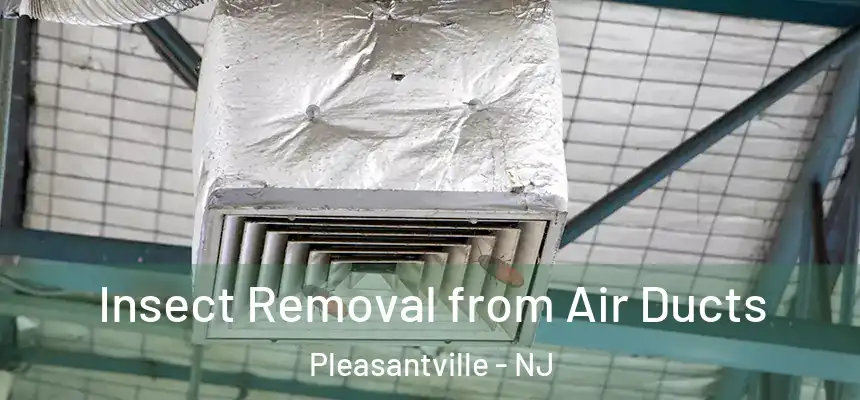  Insect Removal from Air Ducts Pleasantville - NJ