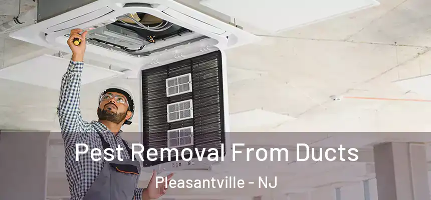 Pest Removal From Ducts Pleasantville - NJ