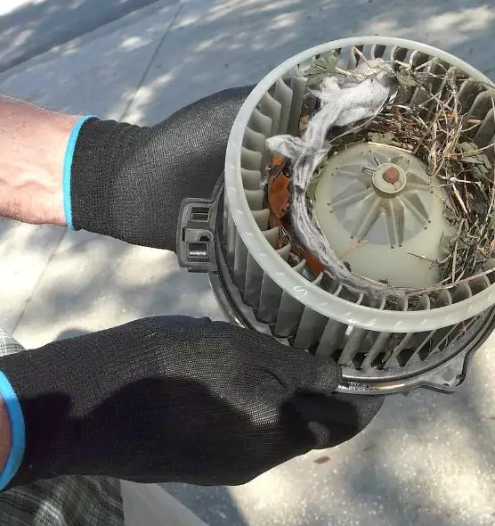 About Air Duct Mice Removal in Pleasantville, NJ