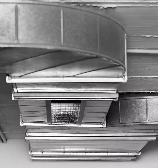 Professional Air Duct Pest Removal in Pleasantville, NJ