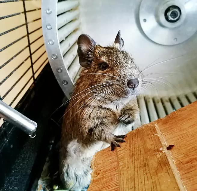 Why Homeowners & Businesses Trust Us Pleasantville, NJ