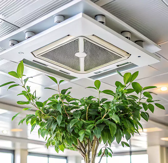 Why Homeowners & Businesses Trust Us in Pleasantville, NJ?